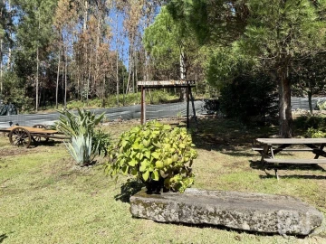 Quinta T3 para Venda em Couto de Esteves