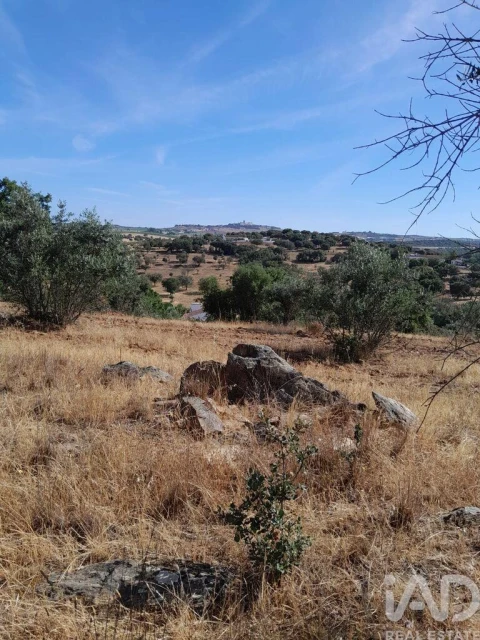 Quinta T4 para Venda em São Lourenço de Mamporcão e São Bento de Ana Loura