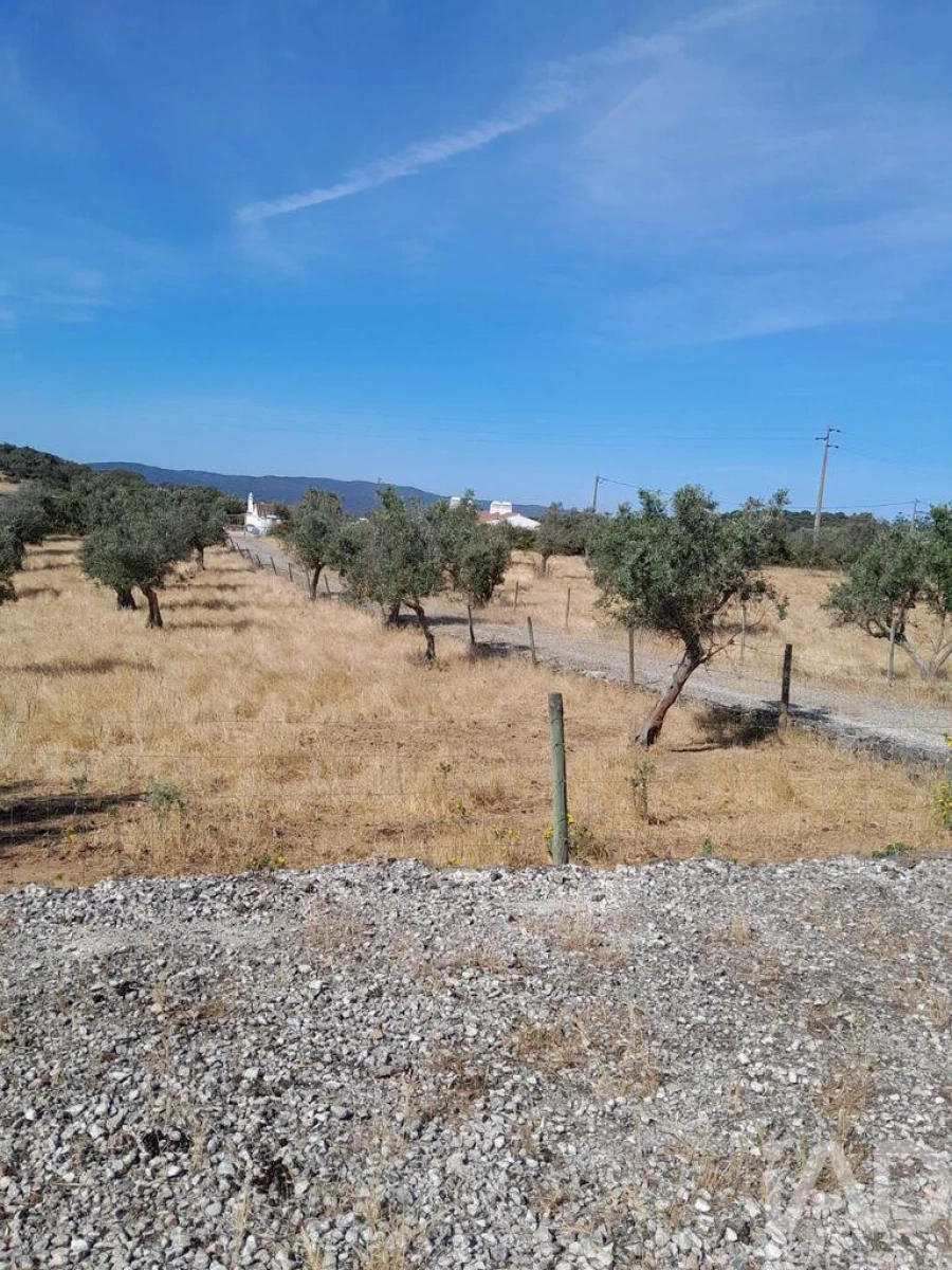 Quinta T4 para Venda em São Lourenço de Mamporcão e São Bento de Ana Loura Foto 26
