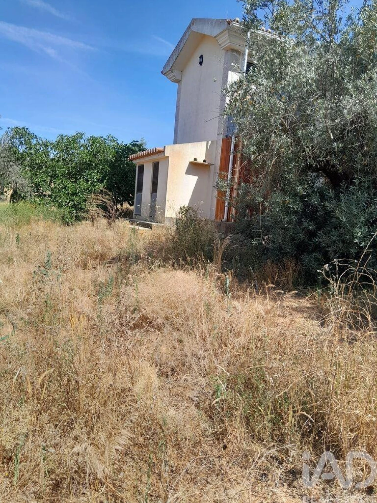 Quinta T4 para Venda em São Lourenço de Mamporcão e São Bento de Ana Loura Foto 9