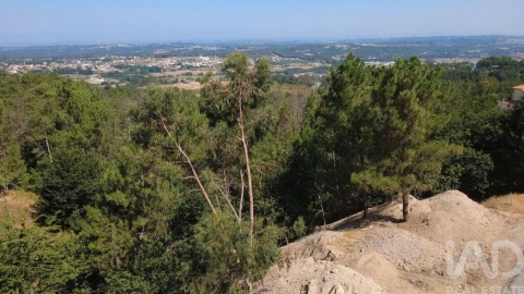 Terreno para Venda em Seia, São Romão e Lapa dos Dinheiros