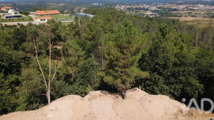 Terreno para Venda em Seia, São Romão e Lapa dos Dinheiros Foto 3
