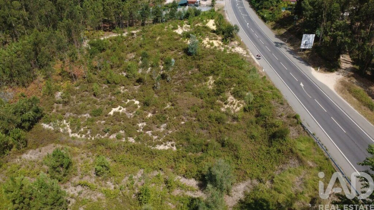 Terreno para Venda em Casal Comba Foto 4