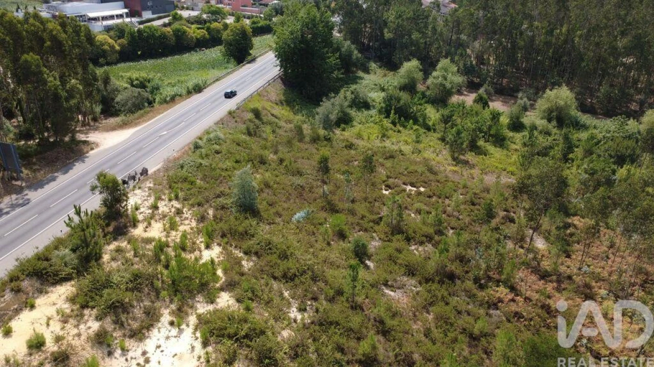 Terreno para Venda em Casal Comba Foto 3