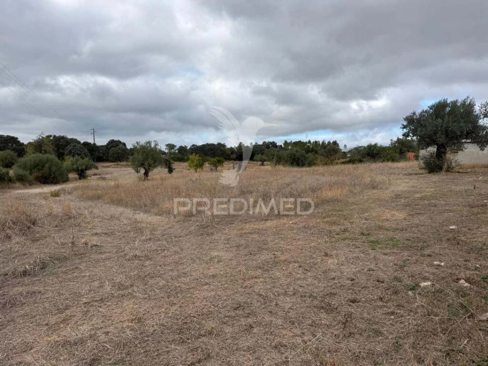 Terreno para Venda em Pernes Foto 10