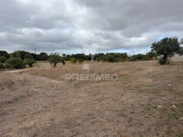 Terreno para Venda em Pernes