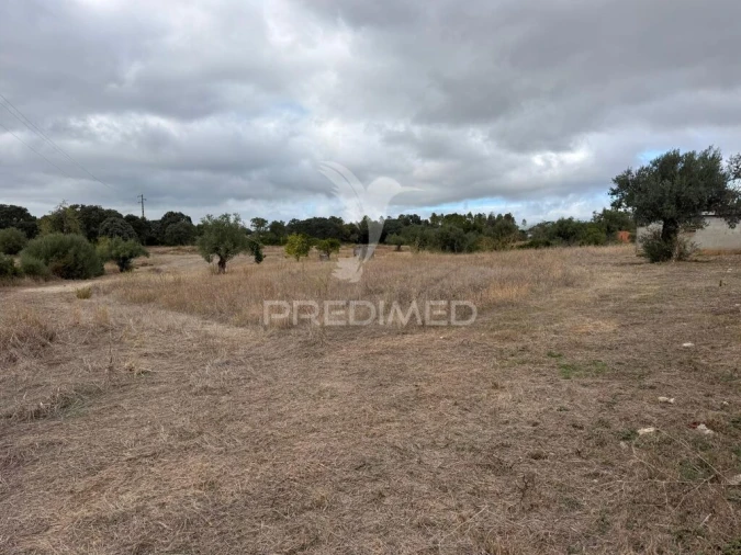 Terreno para Venda em Pernes Foto 10