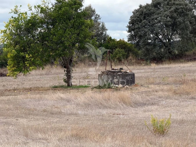 Terreno para Venda em Pernes Foto 16
