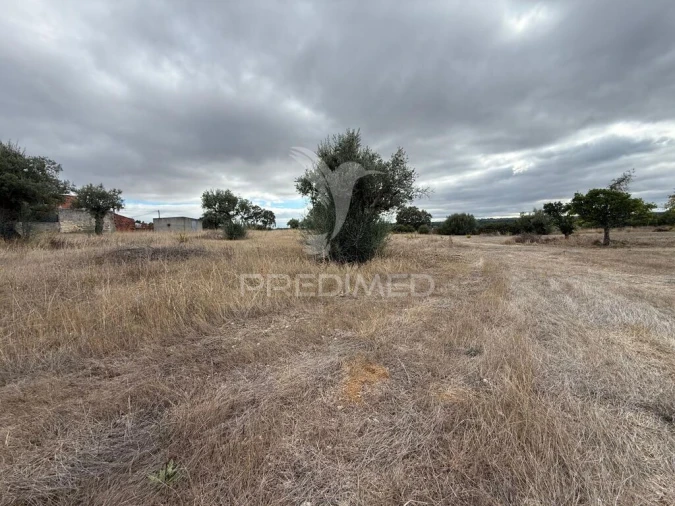 Terreno para Venda em Pernes Foto 19