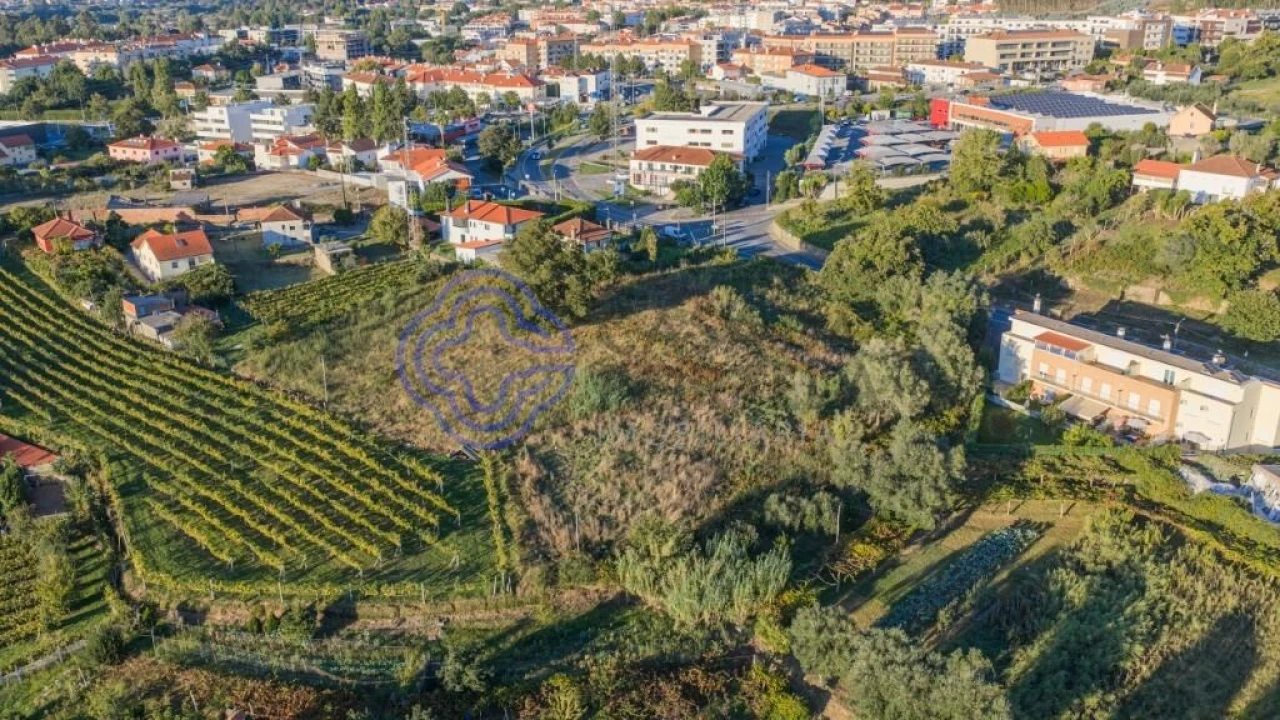 Terreno para Venda em Feitosa Foto 18