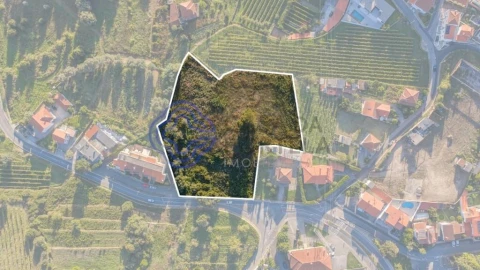 Terreno para Venda em Feitosa
