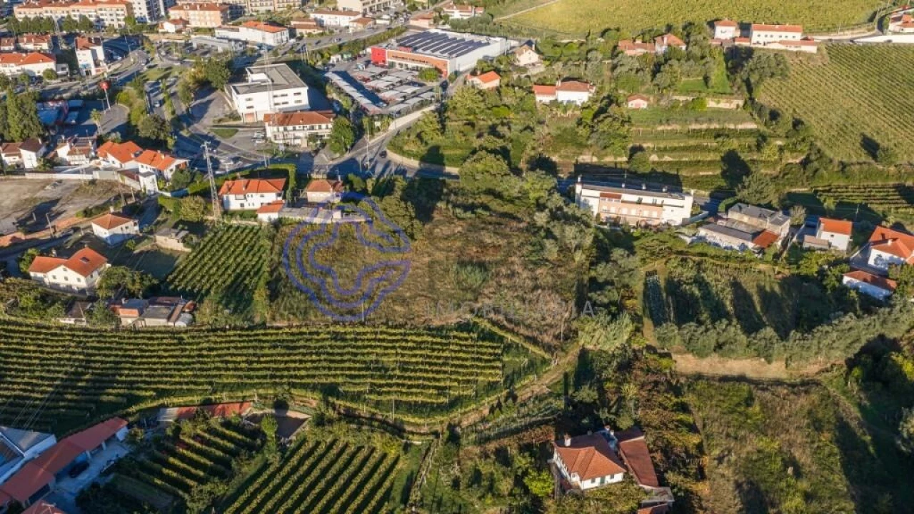 Terreno para Venda em Feitosa Foto 12