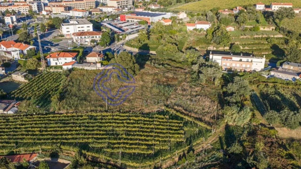 Terreno para Venda em Feitosa Foto 17