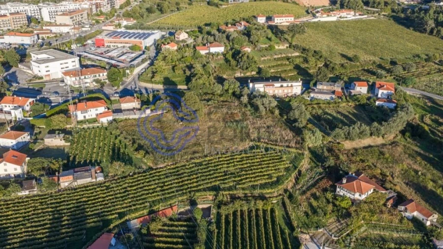 Terreno para Venda em Feitosa Foto 14