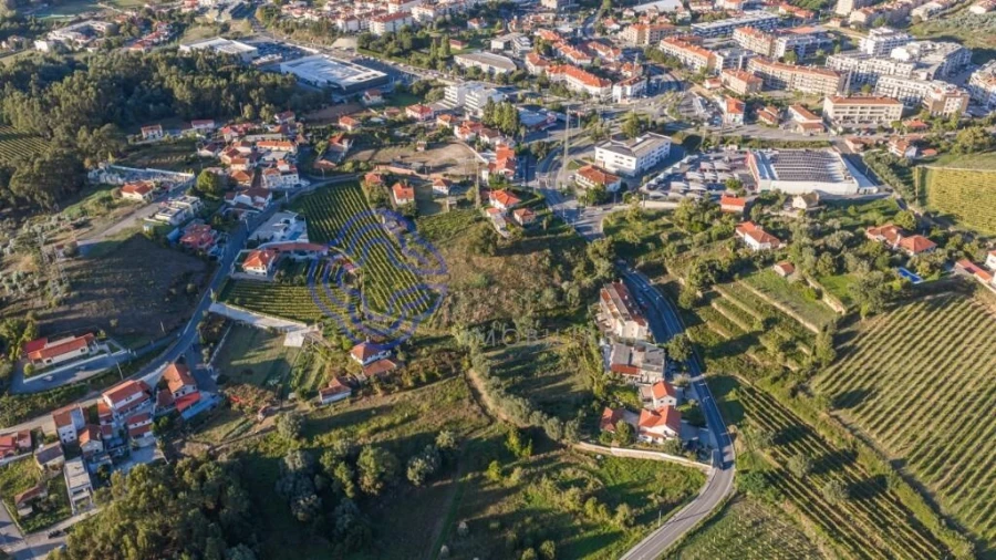 Terreno para Venda em Feitosa Foto 8