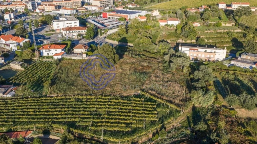 Terreno para Venda em Feitosa Foto 17