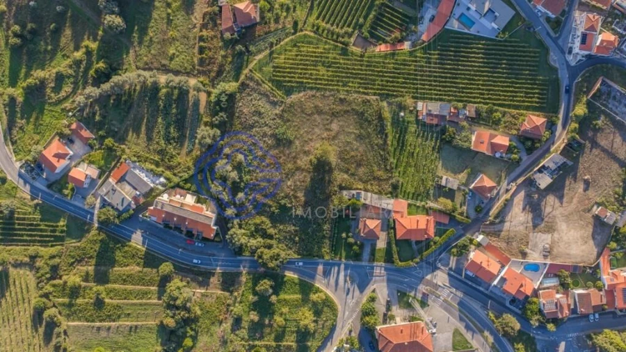 Terreno para Venda em Feitosa Foto 6