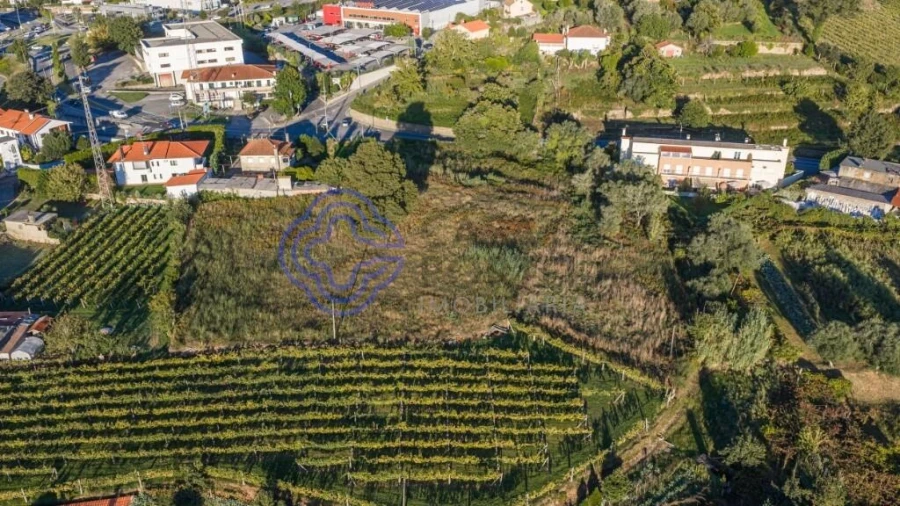 Terreno para Venda em Feitosa Foto 16