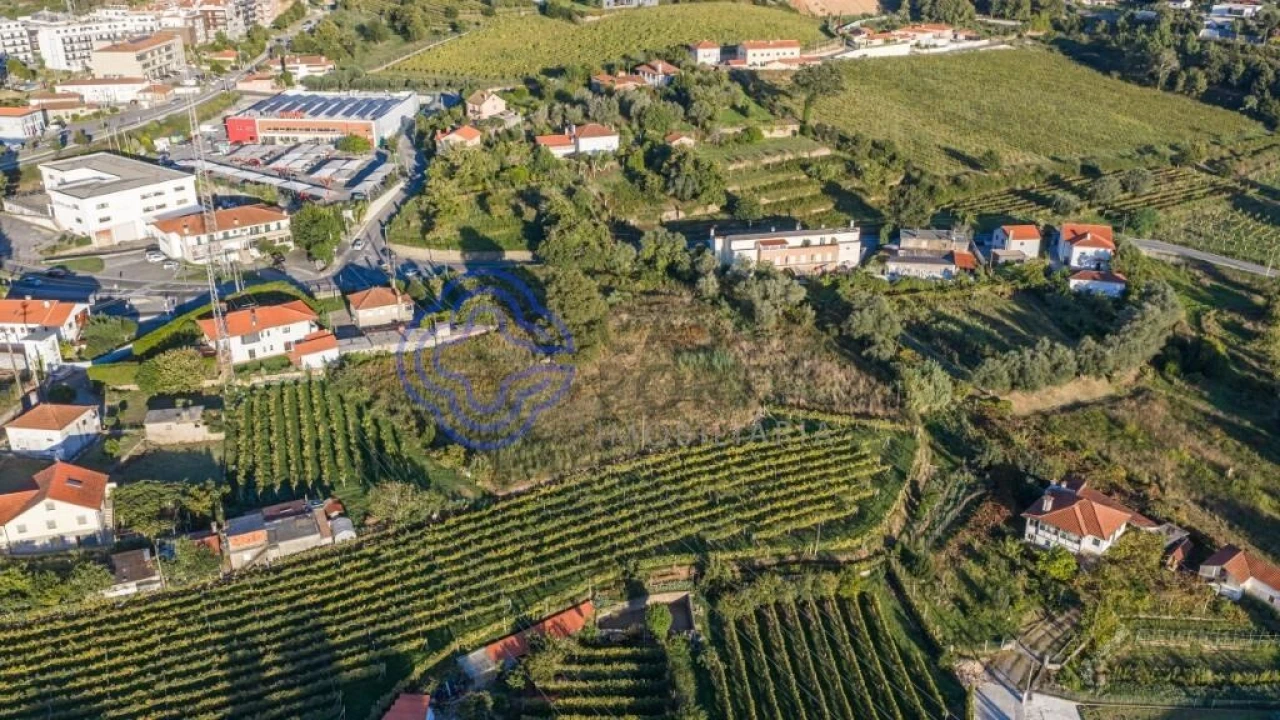 Terreno para Venda em Feitosa Foto 15