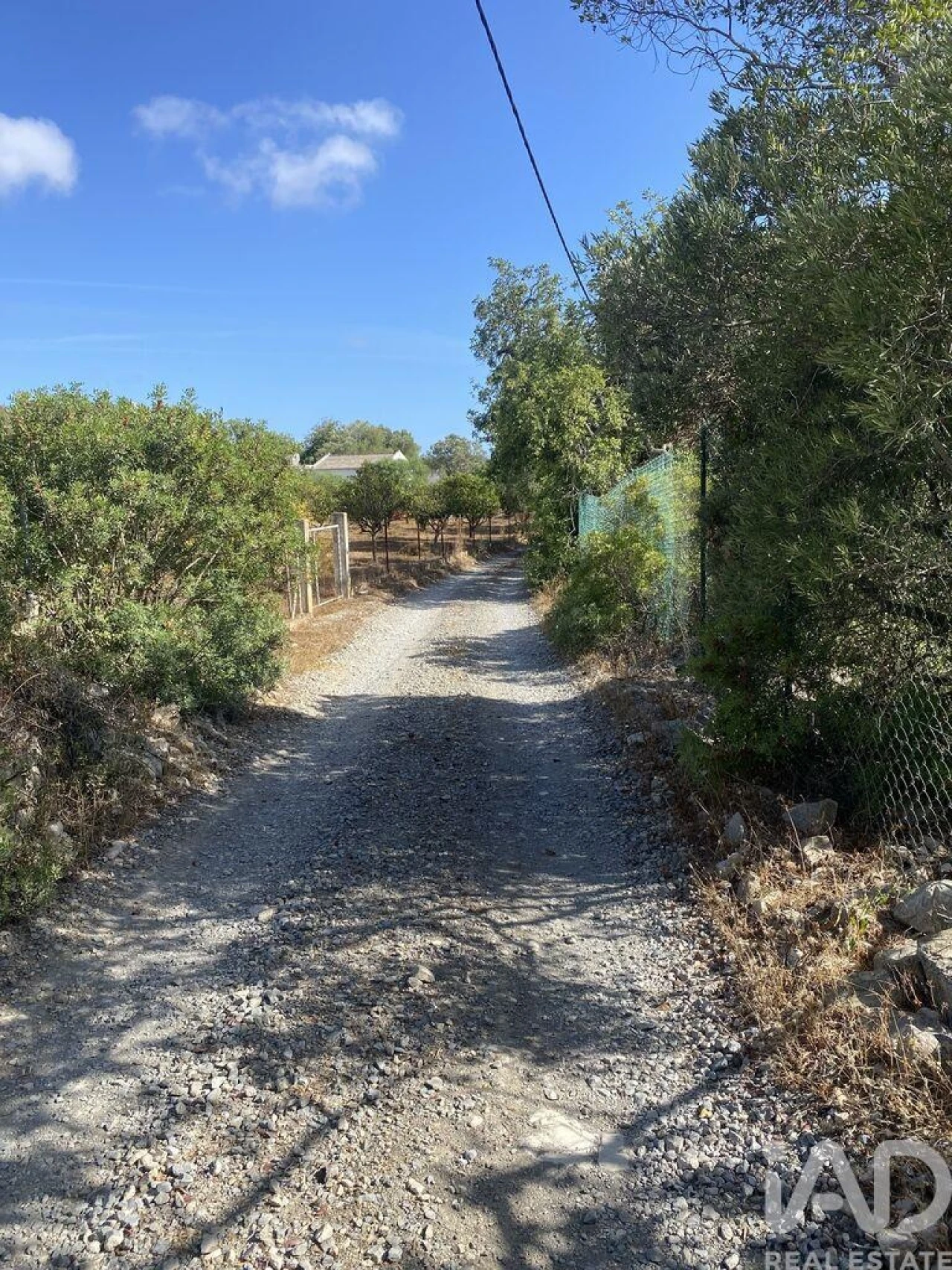 Terreno para Venda em Santa Barbara de Nexe Foto 5