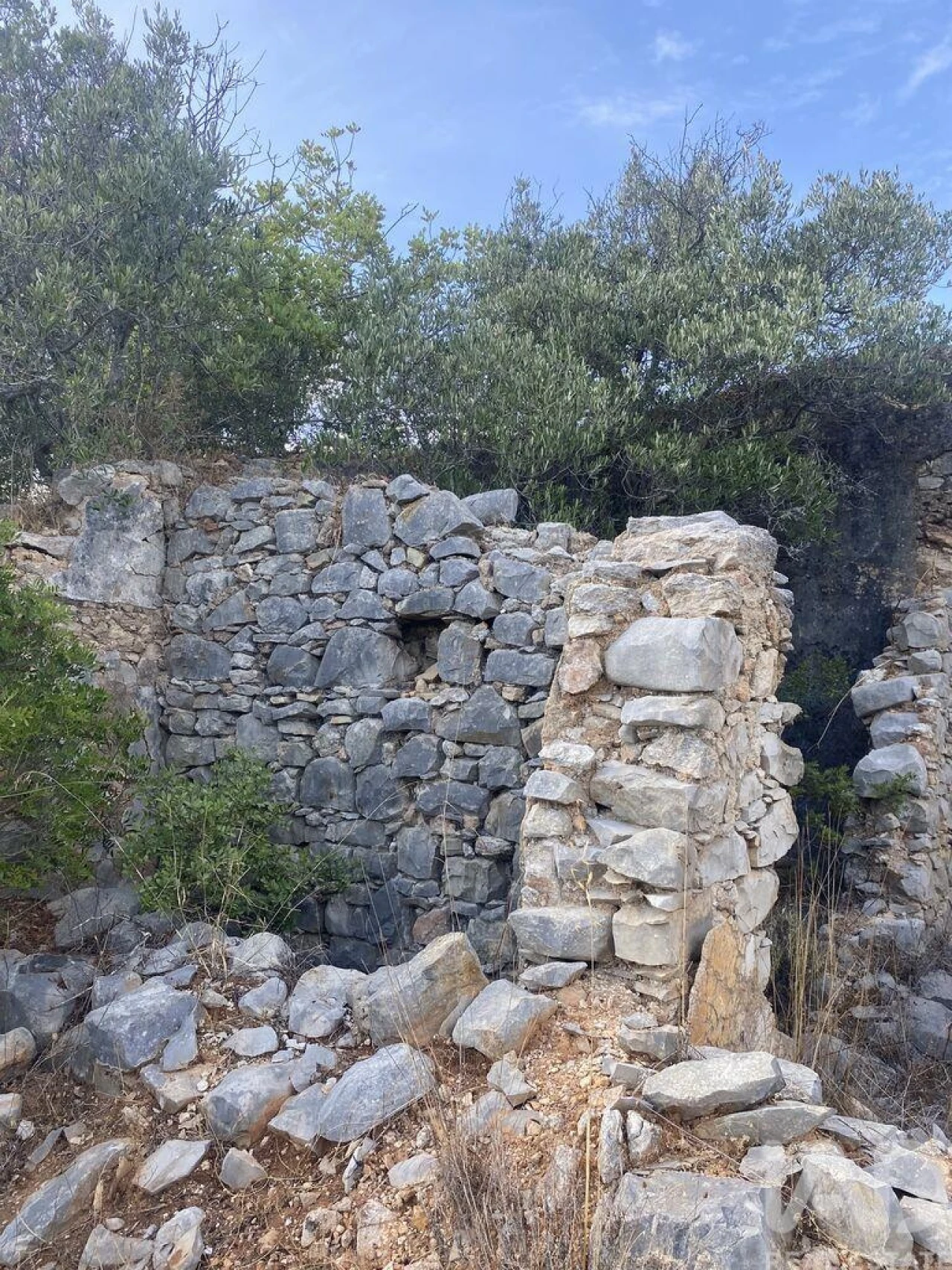 Terreno para Venda em Santa Barbara de Nexe Foto 11