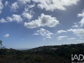 Terreno para Venda em Santa Barbara de Nexe
