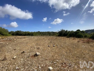 Terreno para Venda em Santa Barbara de Nexe