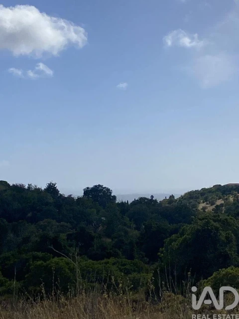Terreno para Venda em Santa Barbara de Nexe