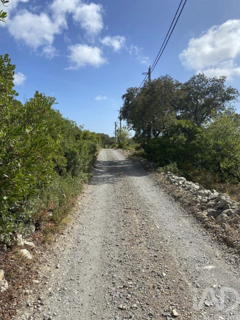Terreno para Venda em Santa Barbara de Nexe