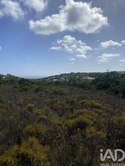 Terreno para Venda em Santa Barbara de Nexe