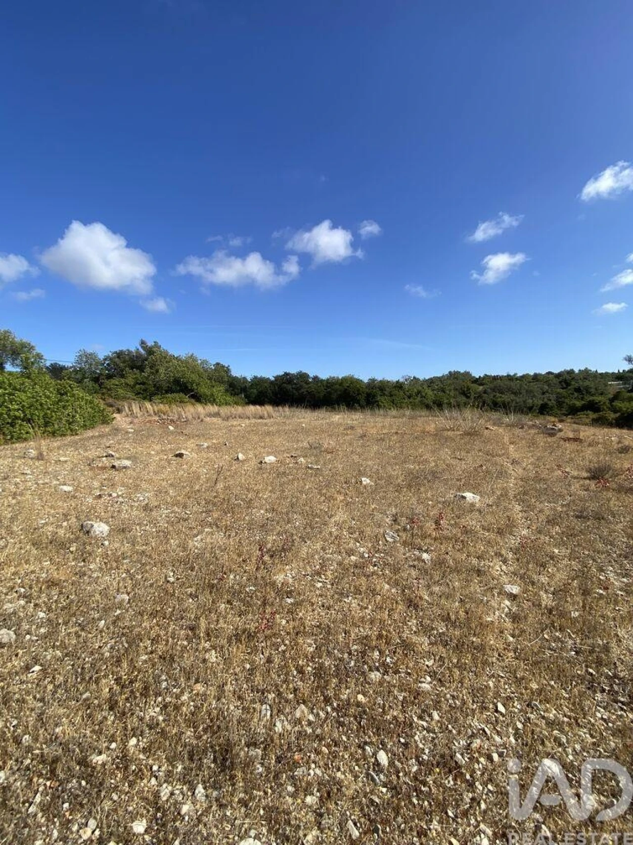 Terreno para Venda em Santa Barbara de Nexe Foto 6