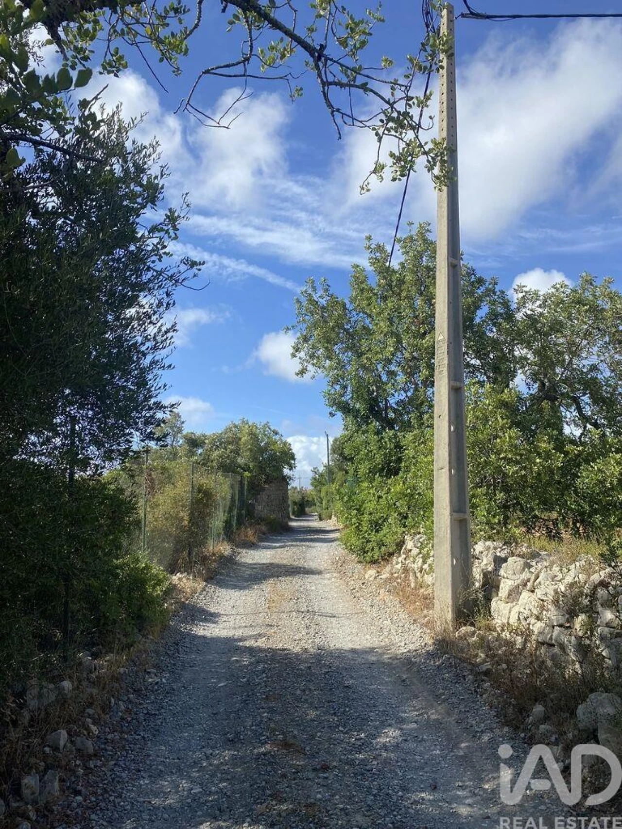 Terreno para Venda em Santa Barbara de Nexe Foto 4