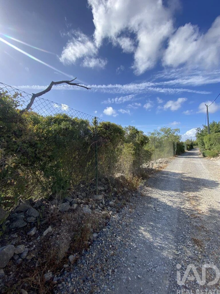Terreno para Venda em Santa Barbara de Nexe Foto 3