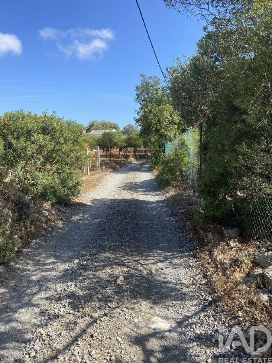 Terreno para Venda em Santa Barbara de Nexe Foto 5