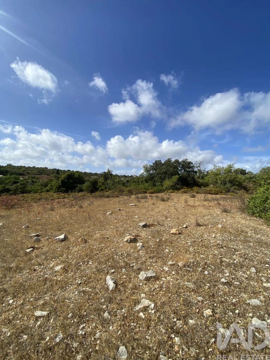 Terreno para Venda em Santa Barbara de Nexe Foto 13