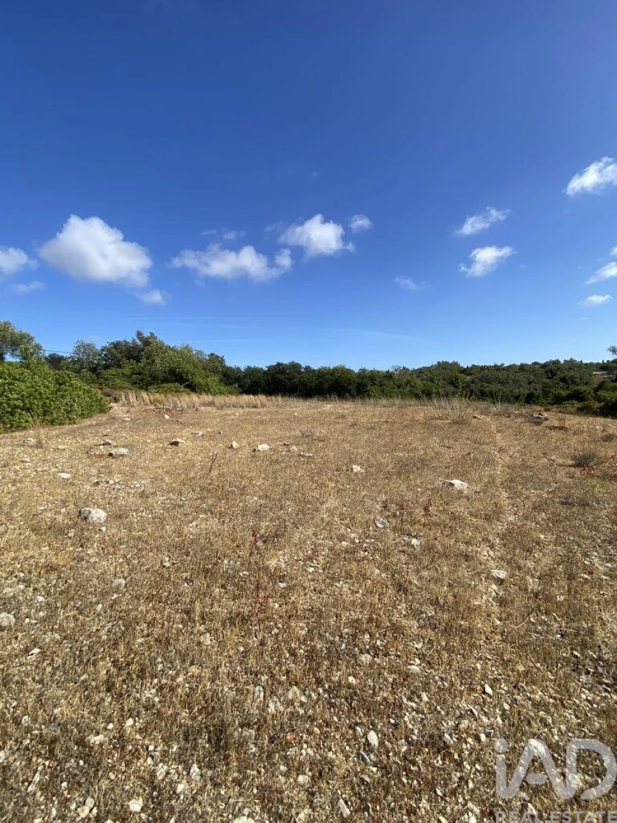 Terreno para Venda em Santa Barbara de Nexe Foto 6