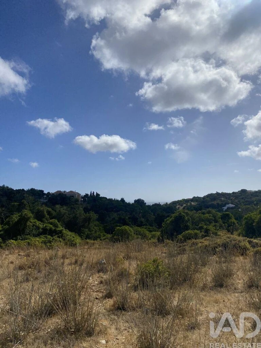 Terreno para Venda em Santa Barbara de Nexe Foto 14
