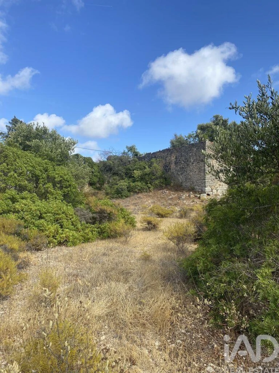 Terreno para Venda em Santa Barbara de Nexe Foto 7
