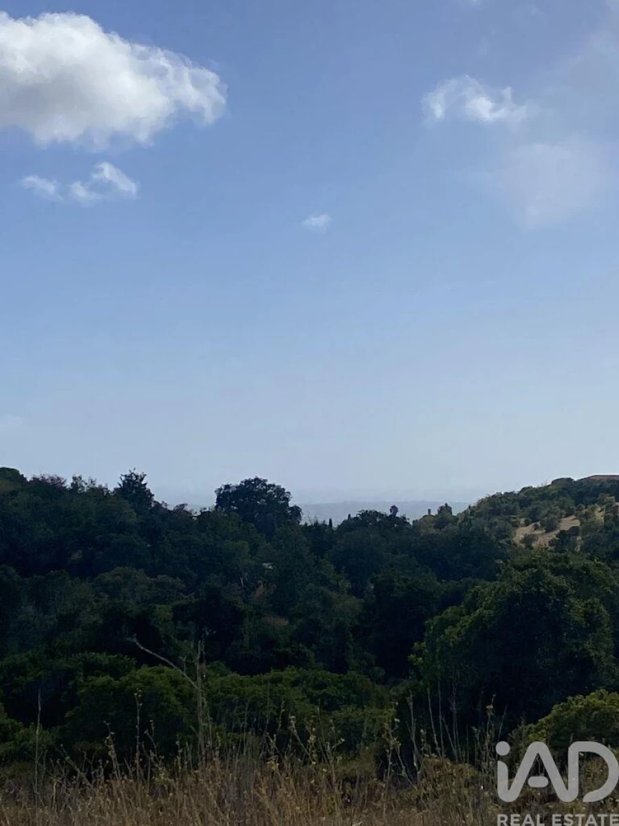 Terreno para Venda em Santa Barbara de Nexe Foto 15