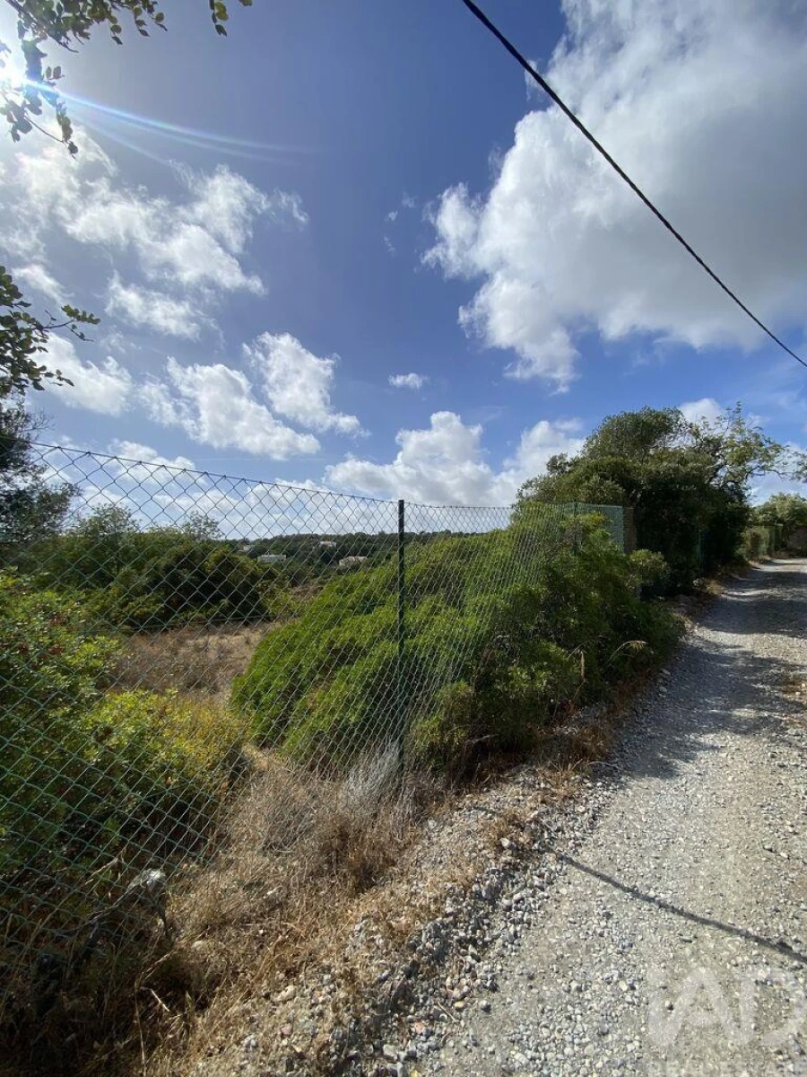 Terreno para Venda em Santa Barbara de Nexe Foto 24