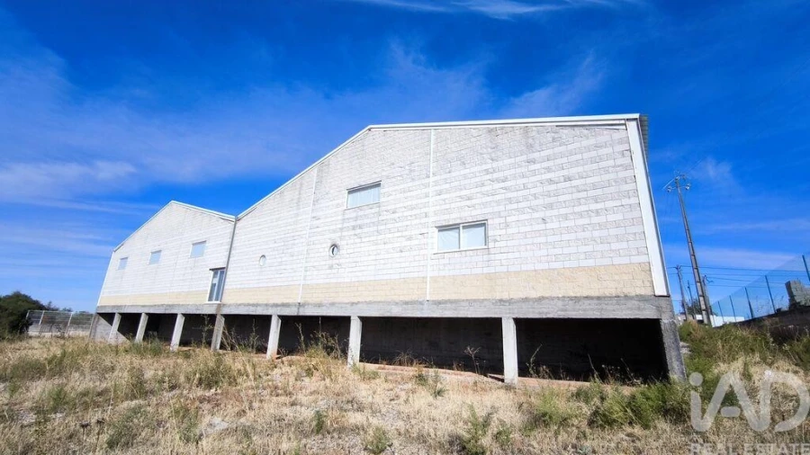 Armazém para Venda em Monforte Foto 10