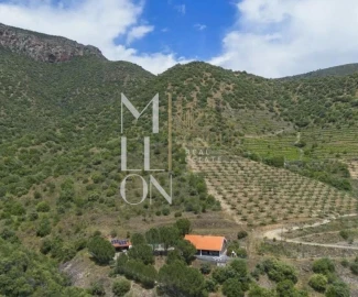Quinta T3 para Venda em Ligares