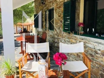 Quinta T3 para Venda em Ligares