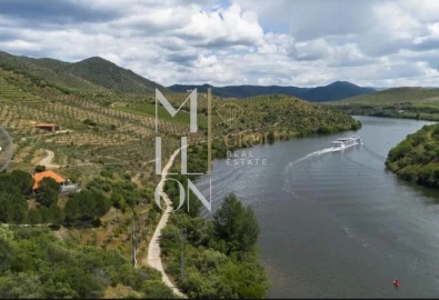 Quinta T3 para Venda em Ligares