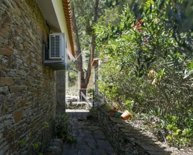 Quinta T3 para Venda em Ligares Foto 13