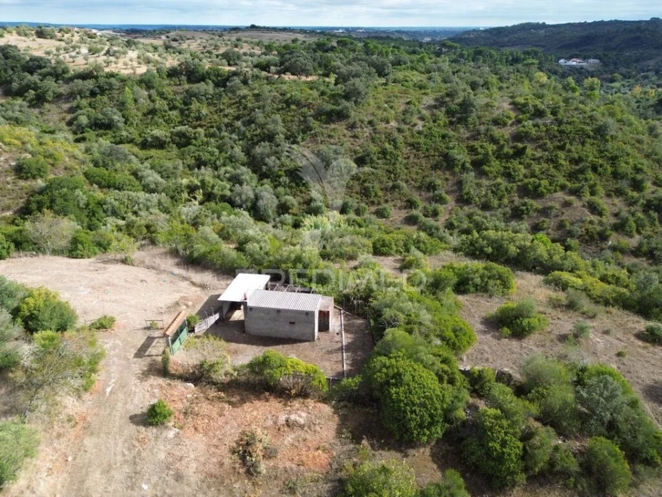 Terreno para Venda em Pernes Foto 7