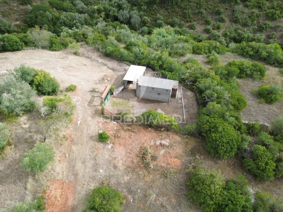 Terreno para Venda em Pernes Foto 6