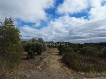 Terreno para Venda em Pernes