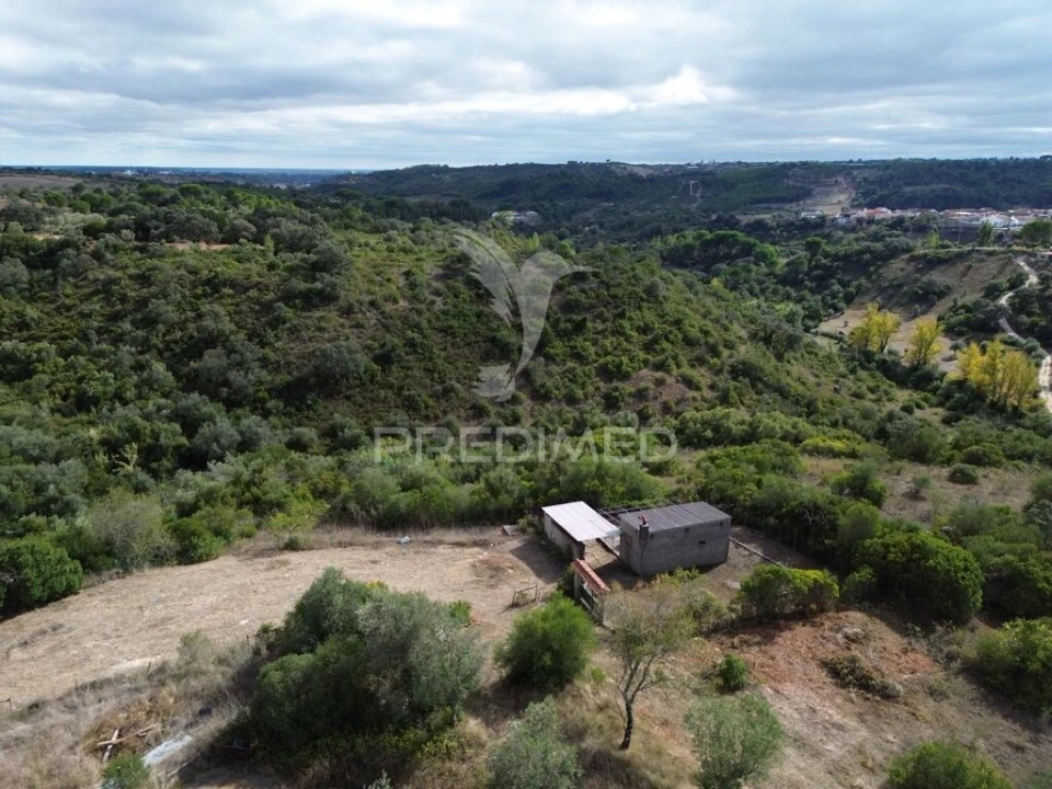 Terreno para Venda em Pernes Foto 3