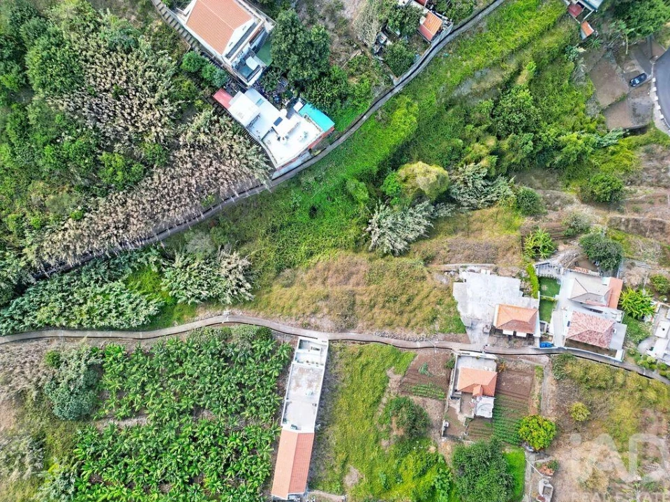 Terreno para Venda em Ribeira Brava Foto 3